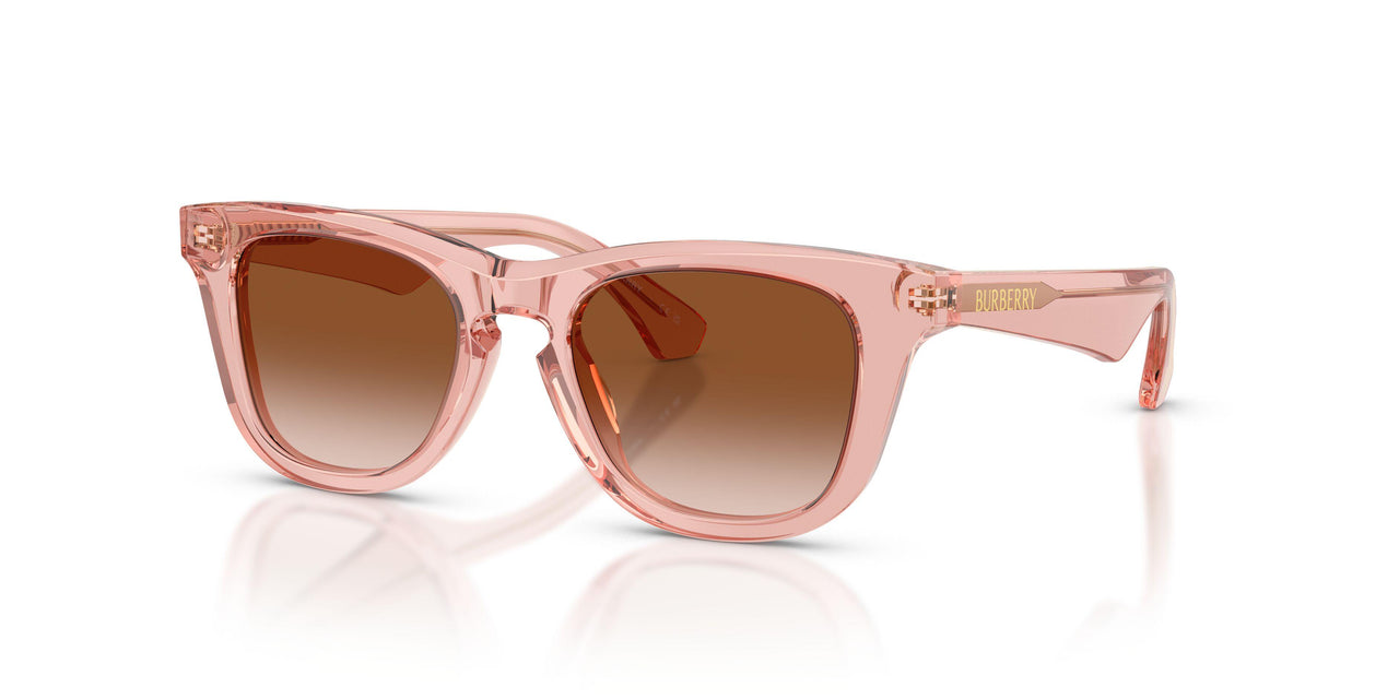 421413 - Pink - Brown Gradient