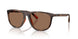 597473 - Tortoise - Dark Brown