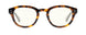 09109 - Tortoise Onyx - Clear