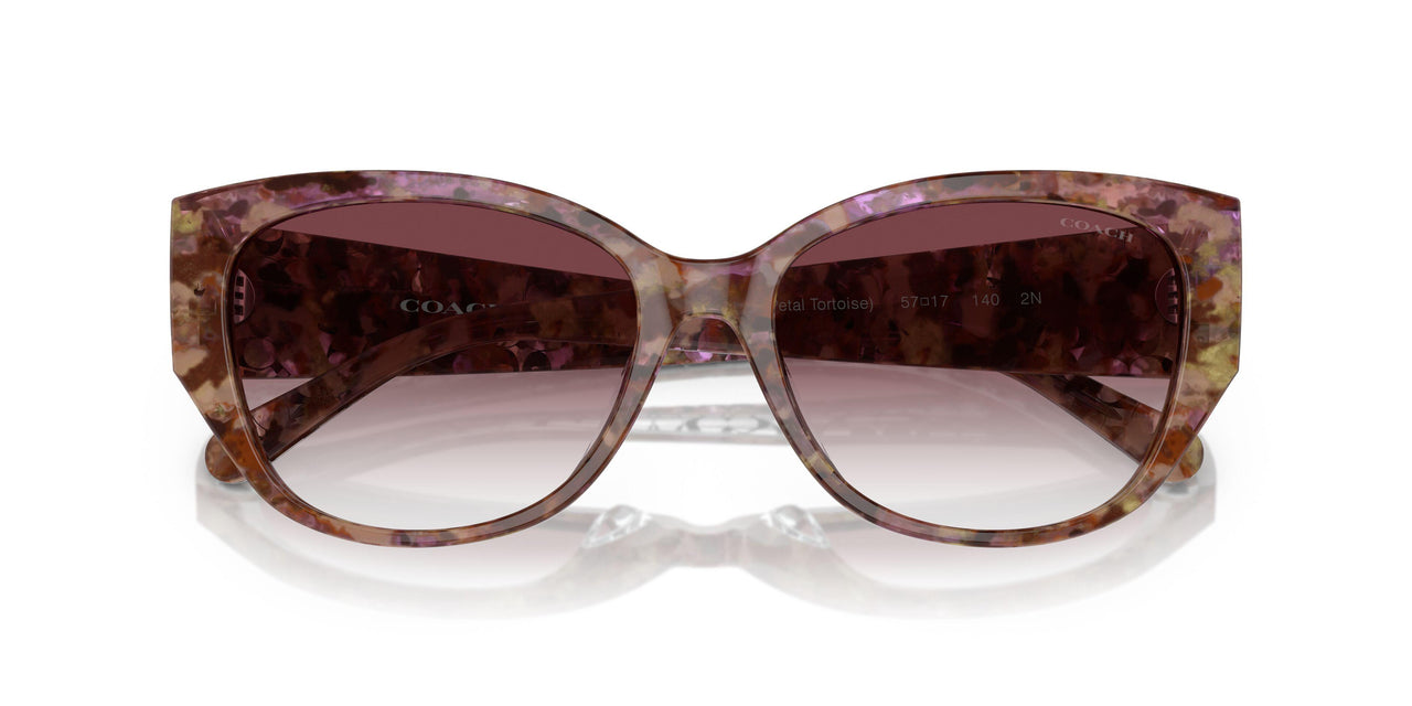 57398H - Tortoise - Purple Clear Gradient