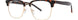 MODZ NORWALK Eyeglasses