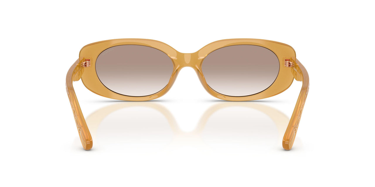 591313 - Brown - Light Brown Gradient