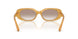 591313 - Brown - Light Brown Gradient