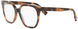 053 - Shiny Havana - Clear