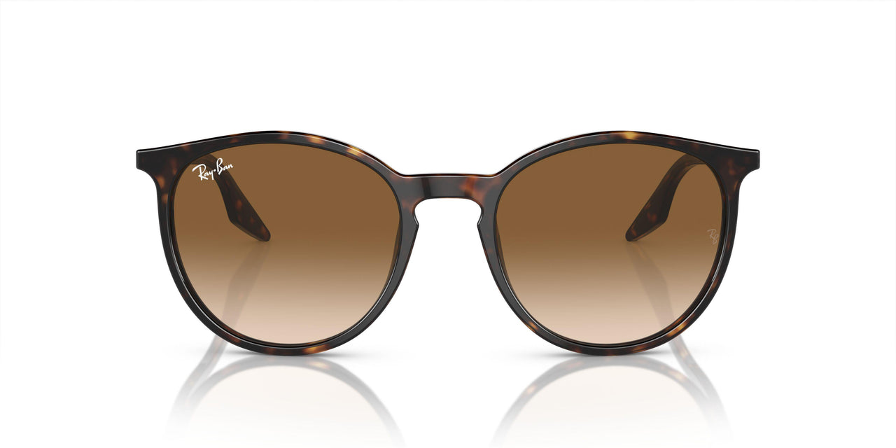 902/51 - Tortoise - Clear/brown
