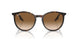 902/51 - Tortoise - Clear/brown