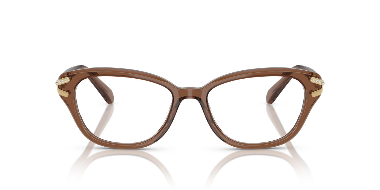 1067 - Brown