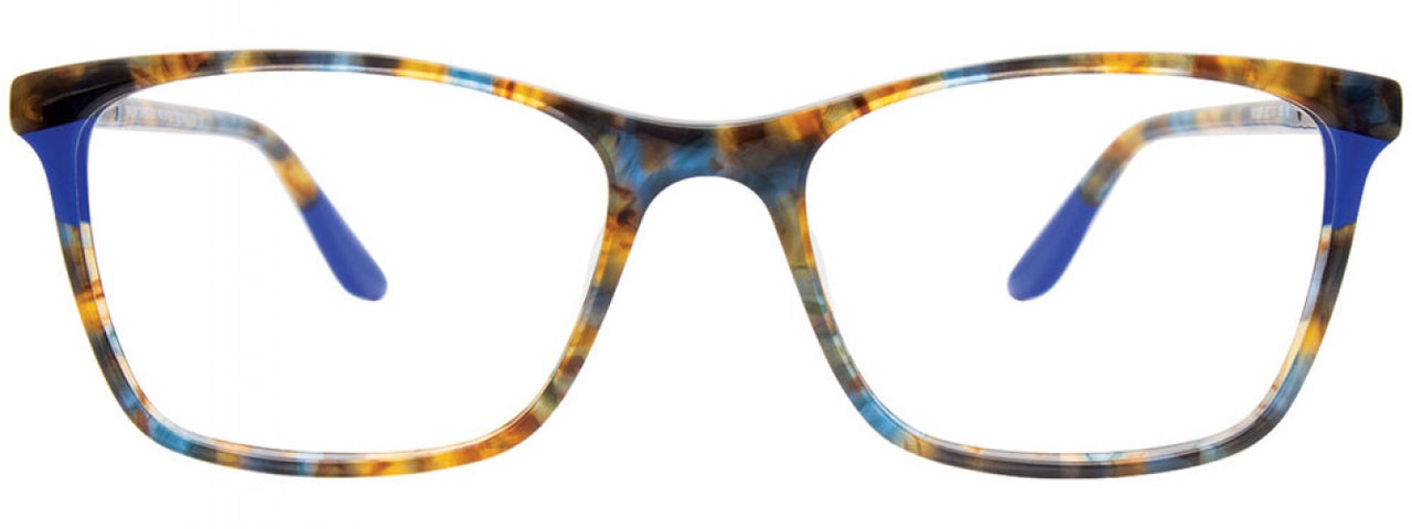 10 - Brown Tortise & Blue