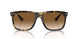710/51 - Tortoise - Clear/brown