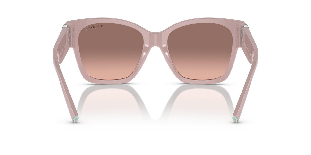 839313 - Pink - Pink Gradient Dark Brown