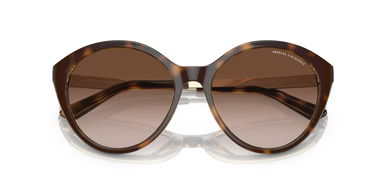 821313 - Tortoise - Gradient Brown