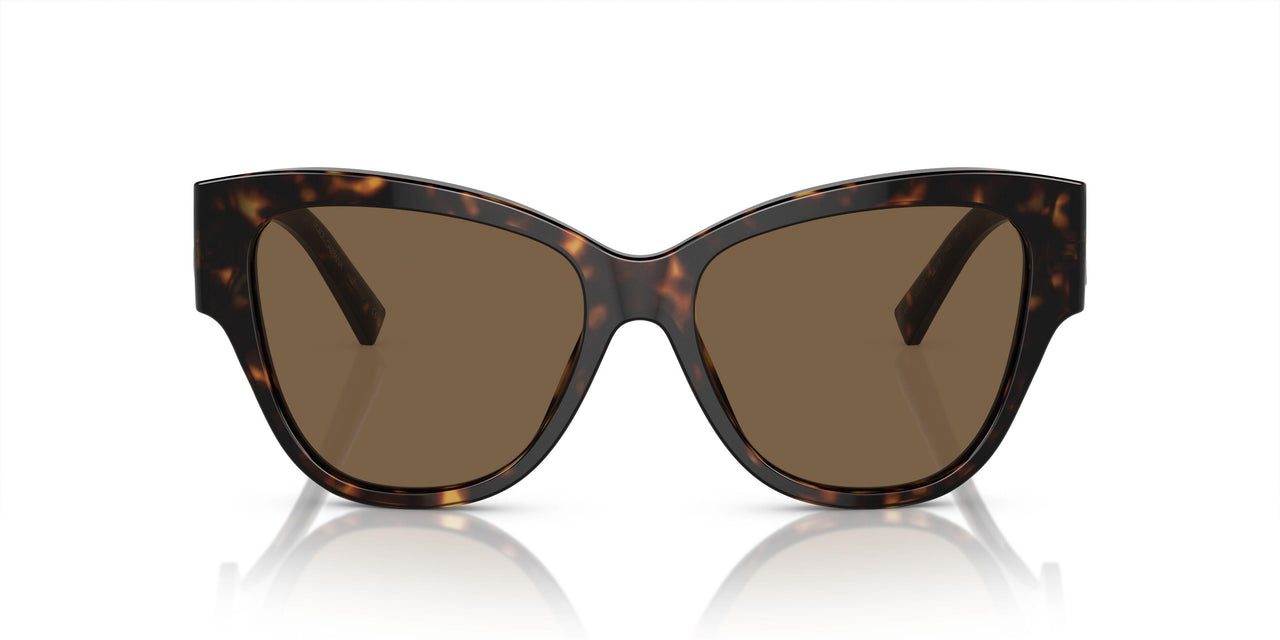502/73 - Tortoise - Dark Brown