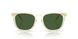 503471 - Yellow - Bottle Green