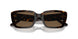 172873 - Tortoise - Dark Brown