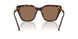 100273 - Tortoise - Dark Brown