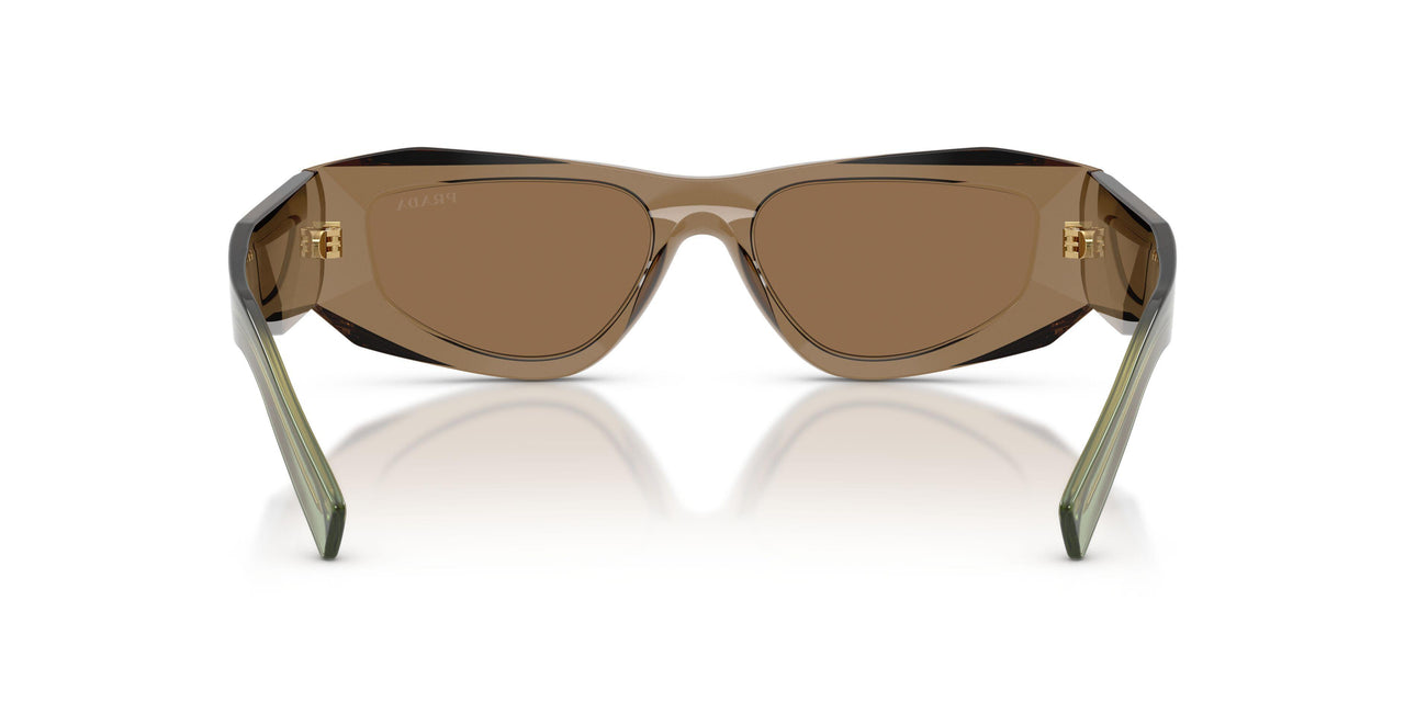 29E90F - Brown - Light Brown