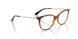W656 - Brown