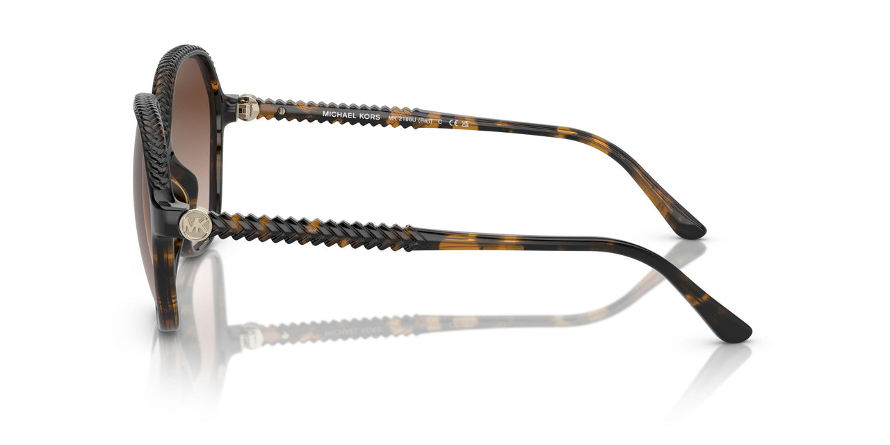 300613 - Tortoise - Brown Gradient