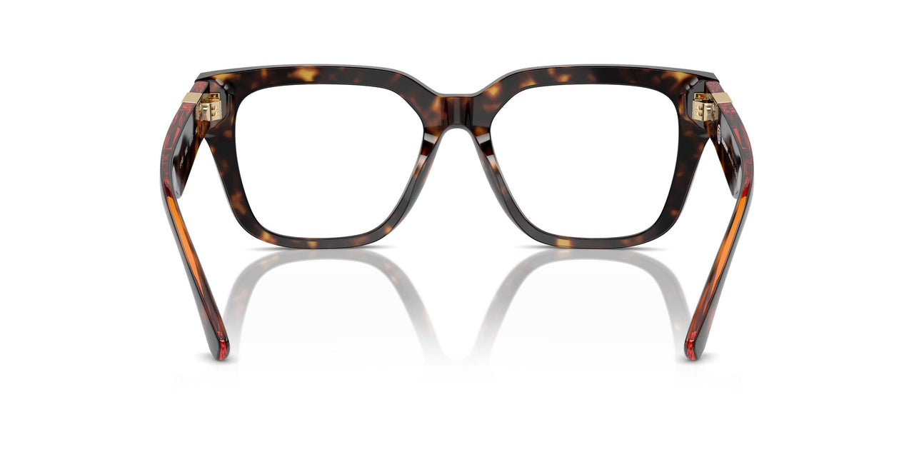 3002 - Brown