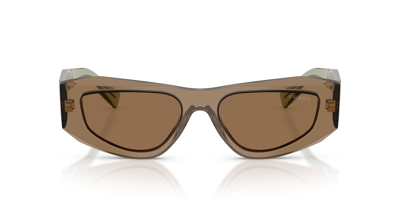29E90F - Brown - Light Brown