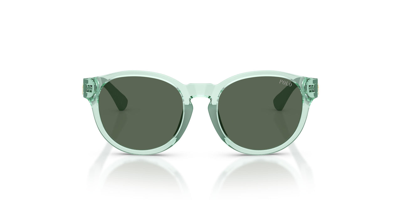 636771 - Green - Dark Green