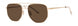 Paradigm Cruz Sunglasses