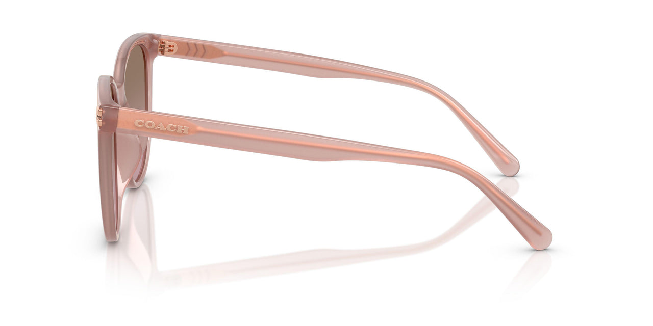 583914 - Pink - Brown Rose Gradient