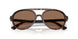 500273 - Tortoise - Dark Brown
