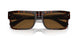 17N01D - Tortoise - Brown Polar