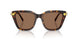 100273 - Tortoise - Dark Brown