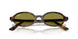 1359/2 - Tortoise - Green