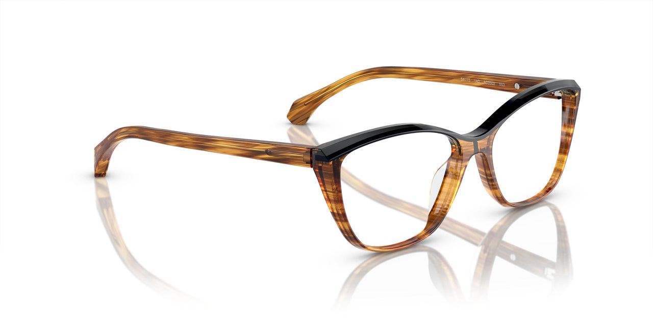 003 - Brown