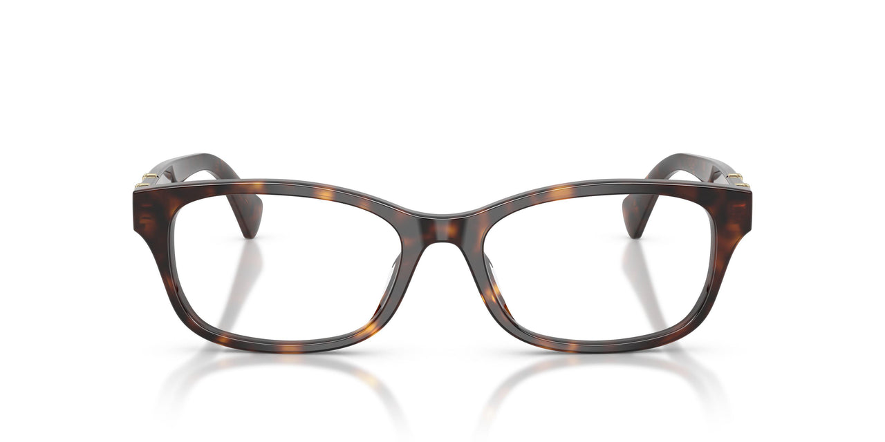 5003 - Tortoise