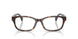 5003 - Tortoise