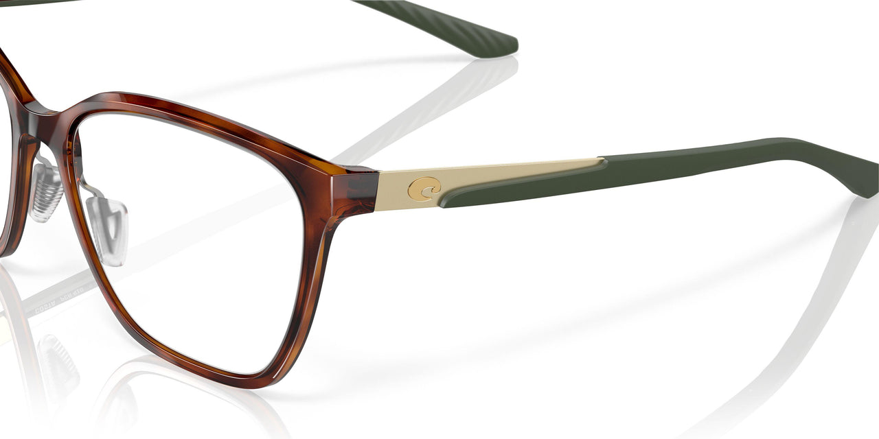 801302 - Tortoise