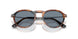 123556 - Brown - Light Blue
