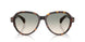 30022A - Tortoise - Light Brown Grad Light Green