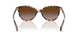 605813 - Tortoise - Gradient Brown
