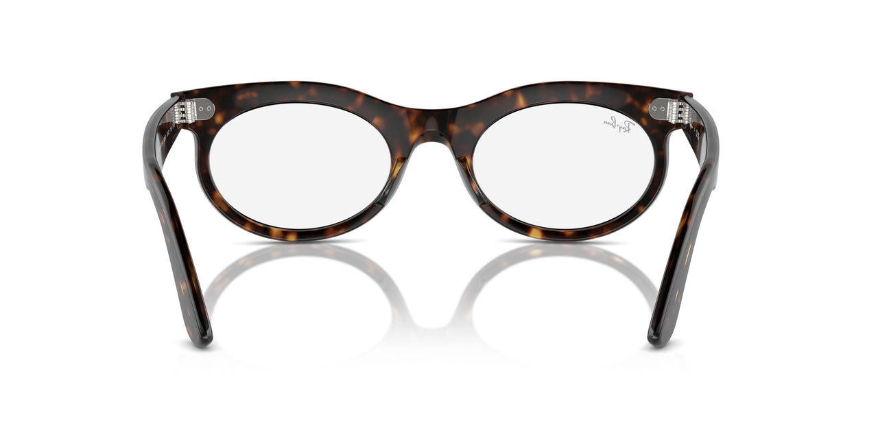 902/GI - Tortoise - Clear/brown