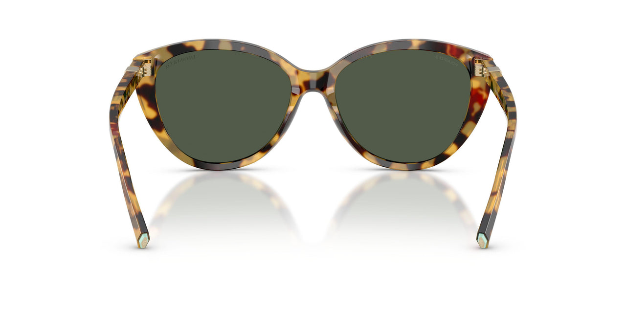 80649A - Tortoise - Polar Green