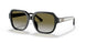 50027Z - Black - Olive Gradient