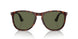24/58 - Tortoise - Polar Green