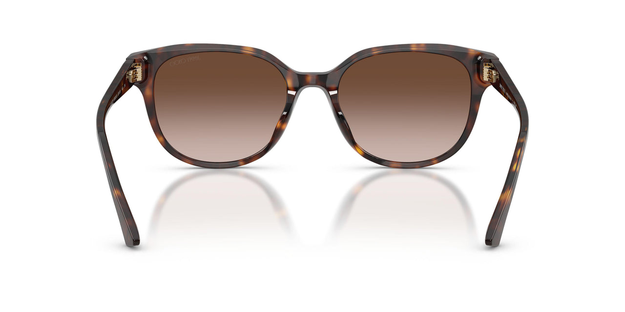500213 - Tortoise - Gradient Brown