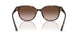 500213 - Tortoise - Gradient Brown