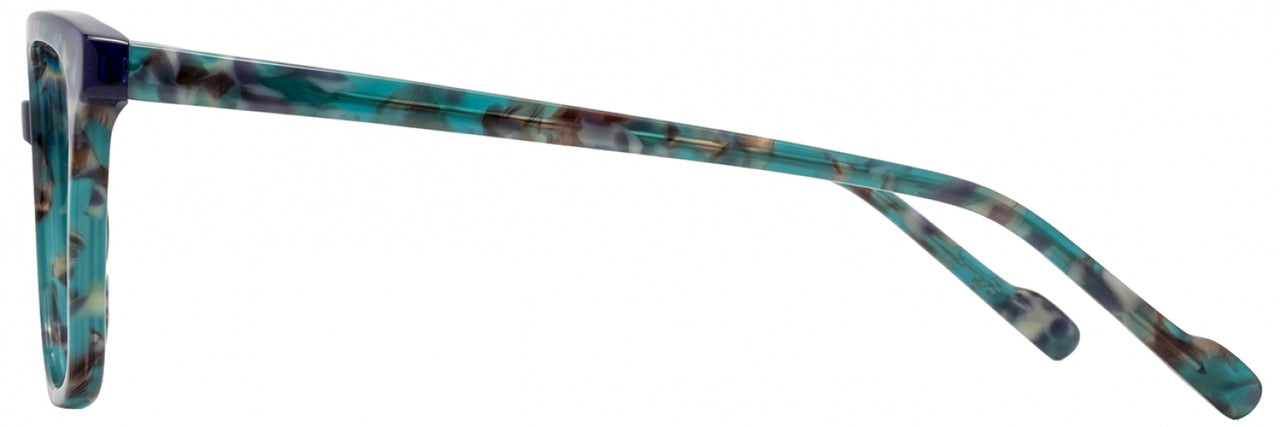 3 - Teal Tortoise