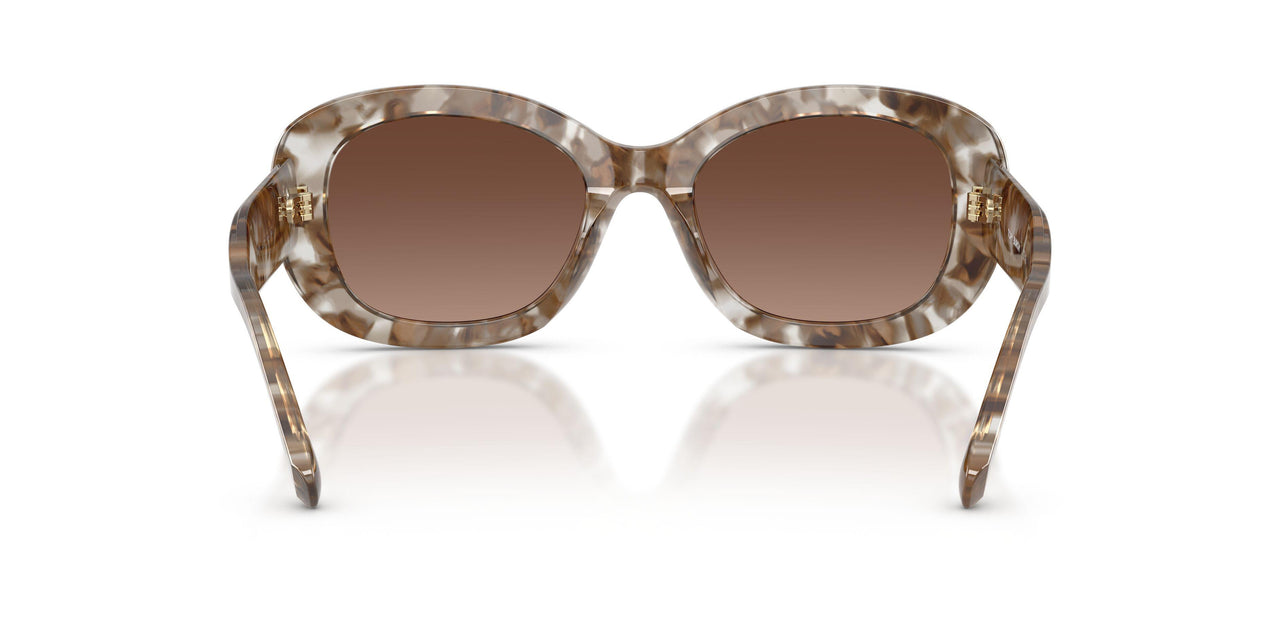 2026T5 - Brown - Polar Light Brown Gradient