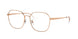 Ray-Ban 6490D Eyeglasses