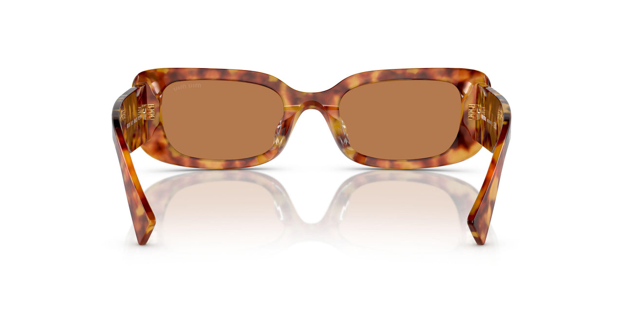 4BW2Z1 - Tortoise - Brown