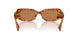 4BW2Z1 - Tortoise - Brown