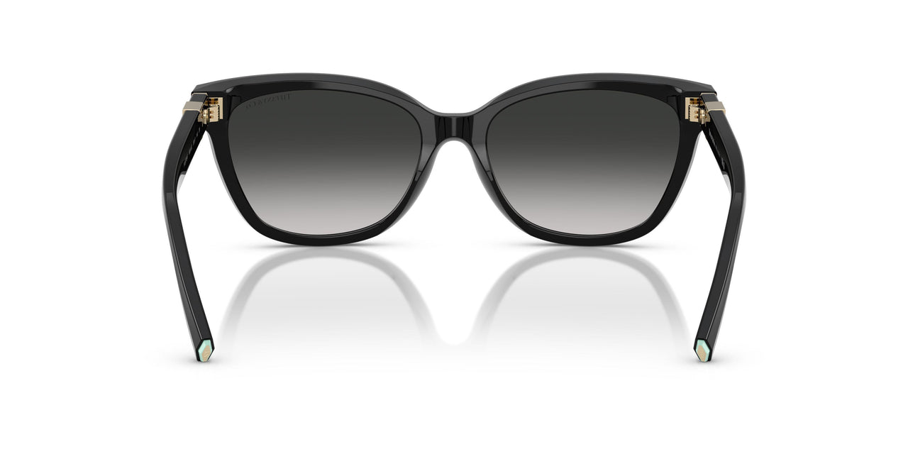 80013C - Black - Grey Gradient